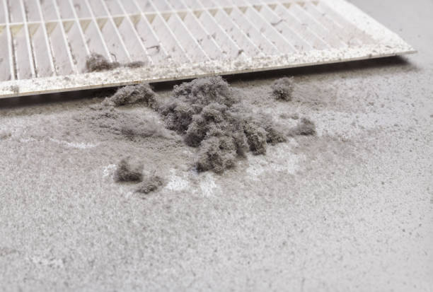 Best HVAC Maintenance and Cleaning  in Lanark, IL