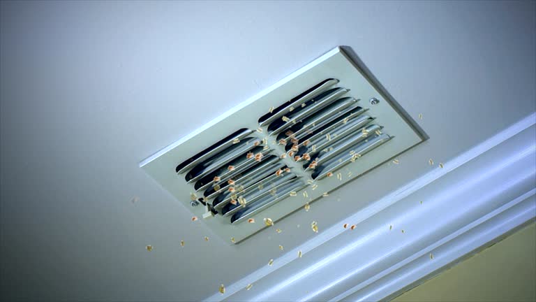 Best Affordable HVAC Duct Cleaning  in Lanark, IL