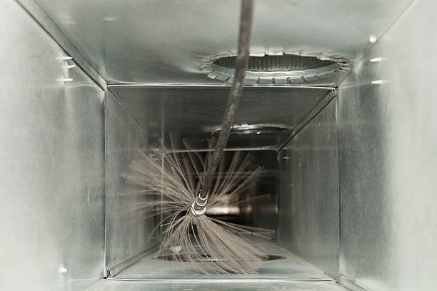 Best Home Air Vent Cleaning  in Lanark, IL