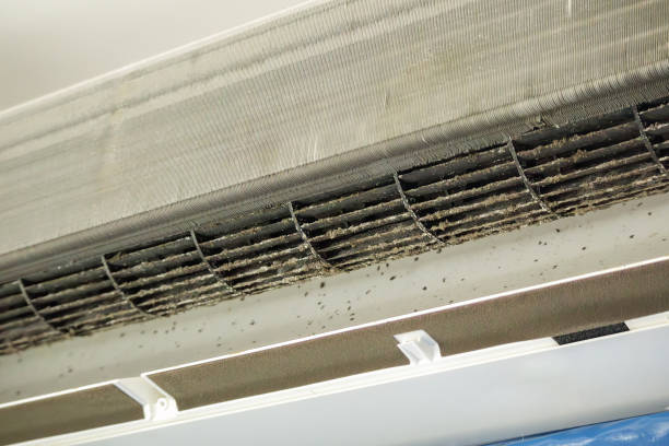 Best HVAC System Cleaning  in Lanark, IL