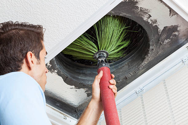 Best Local Air Duct Cleaning Services  in Lanark, IL